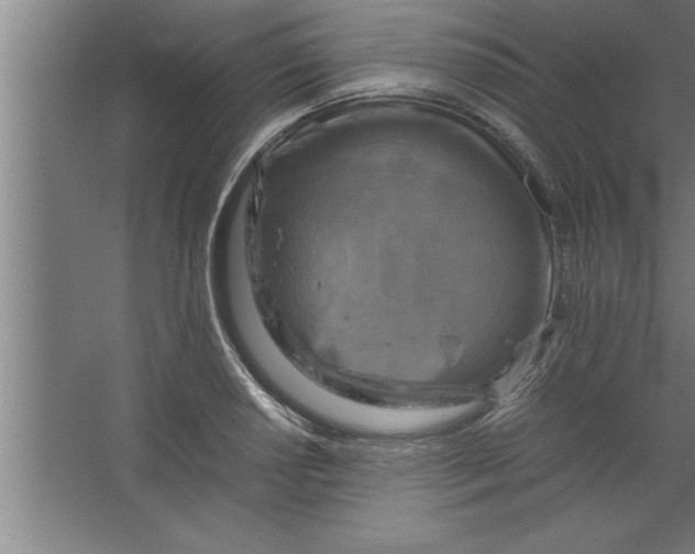 X0000067461034200604281823