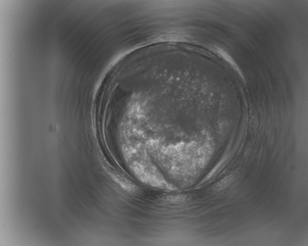 X0000067461035200604281823