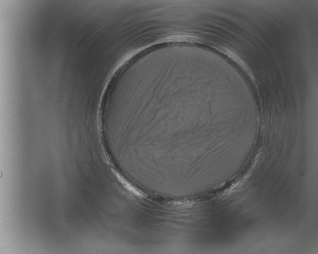 X0000067461037200604281823