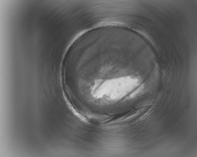 X0000067461038200604281823