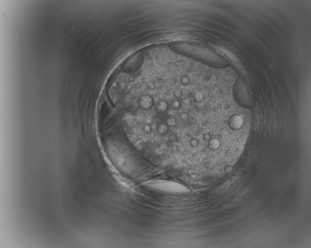 X0000067461039200604281823