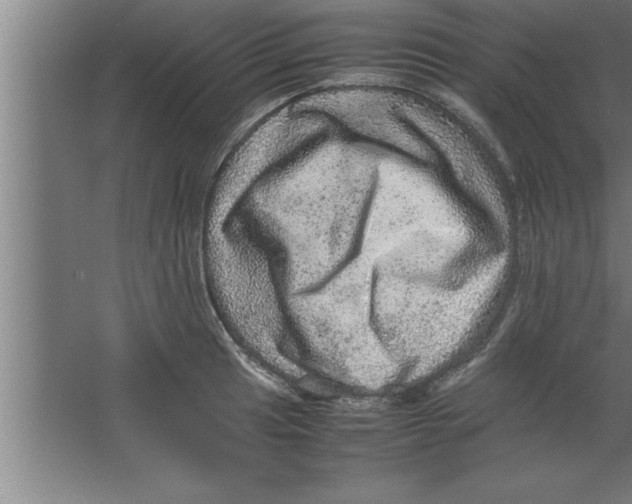 X0000067461041200604281823