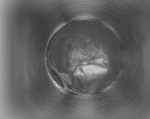 X0000067461042200604281823