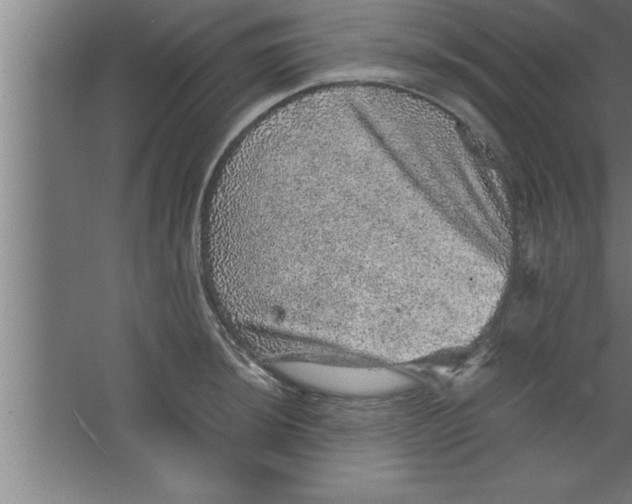 X0000067461044200604281823