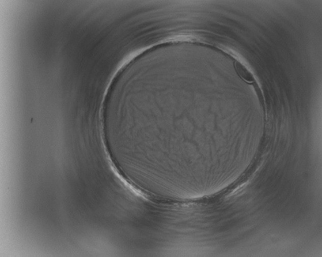 X0000067461045200604281823