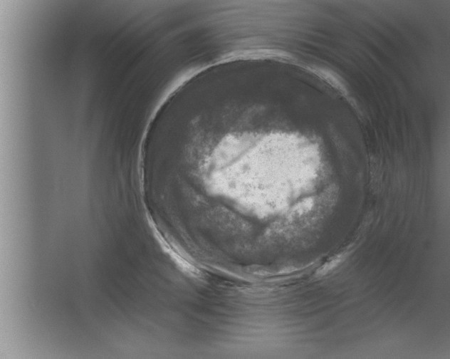 X0000067461046200604281823