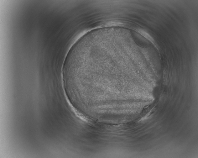 X0000067461047200604281823