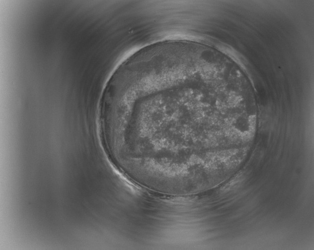 X0000067461048200604281823