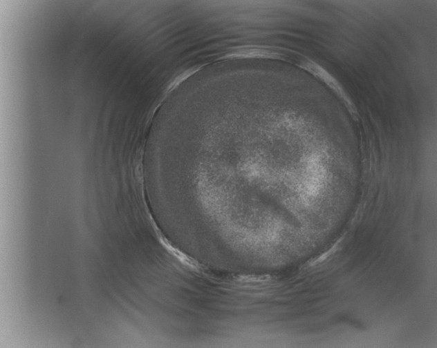 X0000067461049200604281823