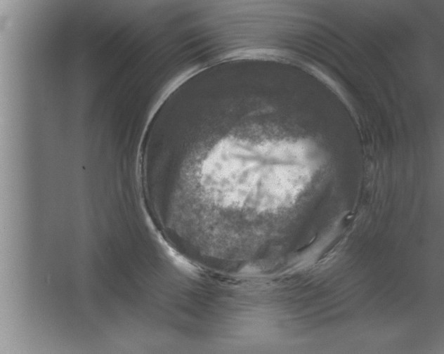 X0000067461050200604281823