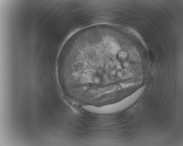 X0000067461051200604281823