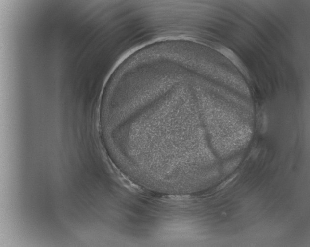 X0000067461052200604281823