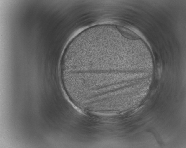 X0000067461053200604281823