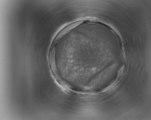 X0000067461054200604281823