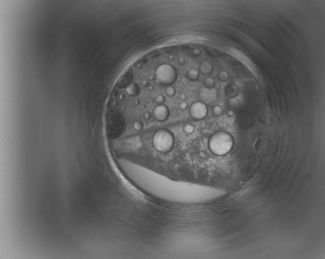 X0000067461055200604281823