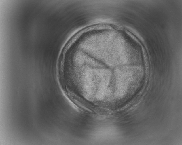 X0000067461056200604281823