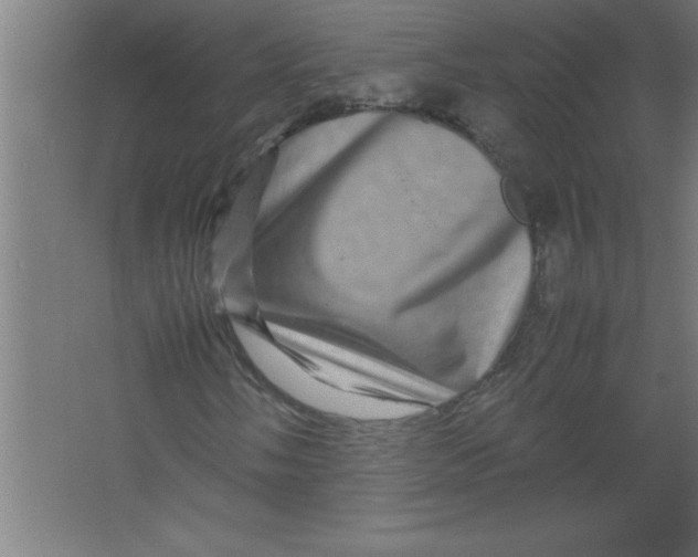 X0000067461058200604281822