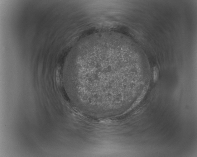 X0000067461059200604281822