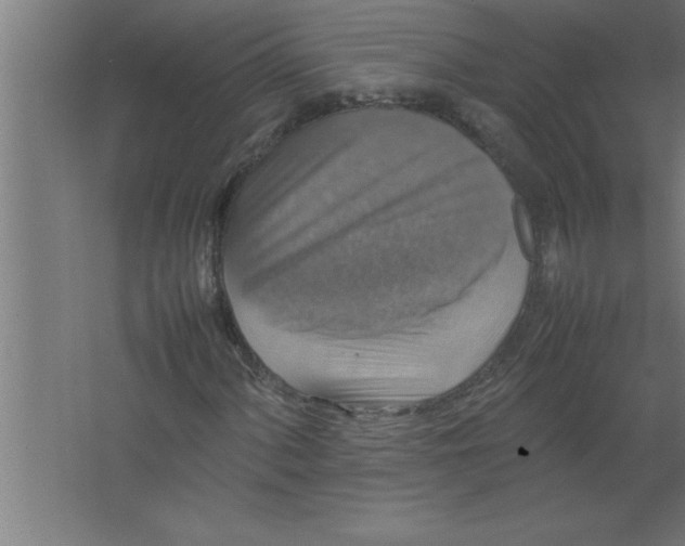 X0000067461060200604281822