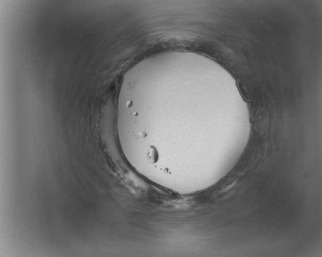 X0000067461061200604281822