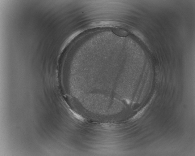 X0000067461066200604281822