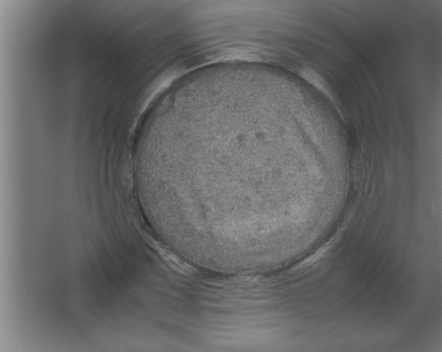 X0000067461067200604281822