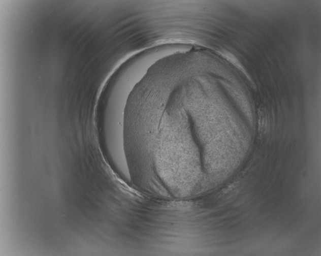 X0000067461068200604281822