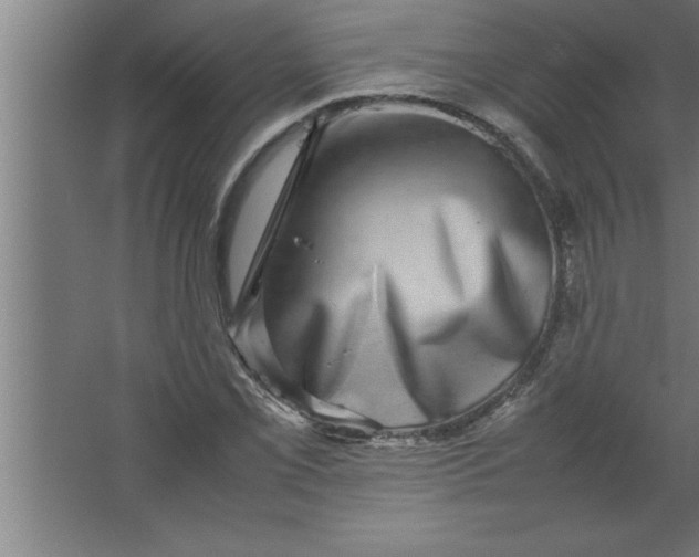 X0000067461069200604281822