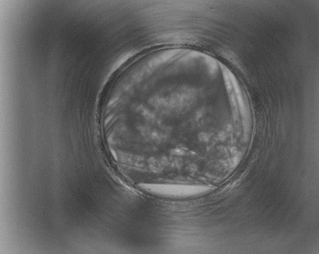 X0000067461071200604281822