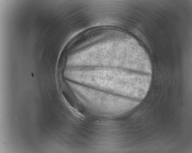 X0000067461072200604281822