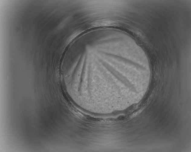 X0000067461073200604281822