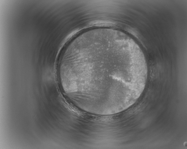 X0000067461074200604281822