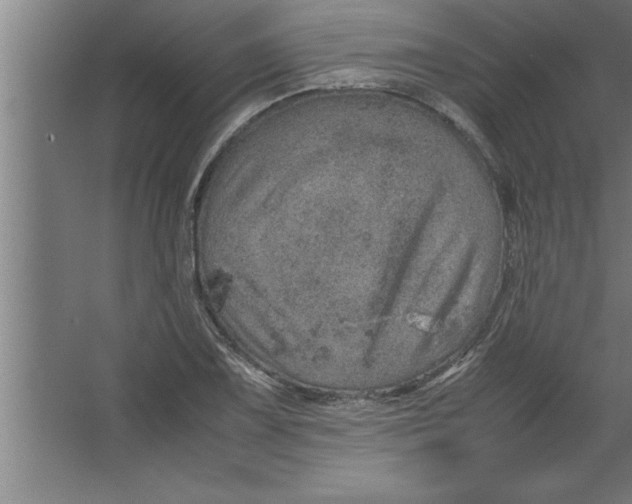 X0000067461075200604281822