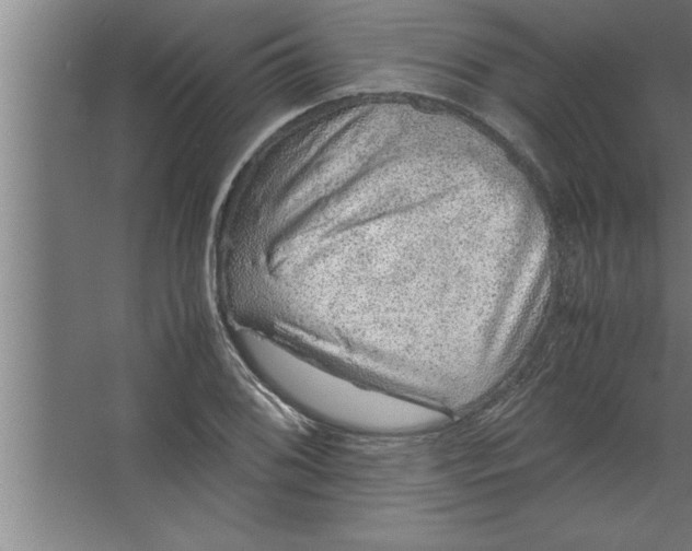 X0000067461076200604281822