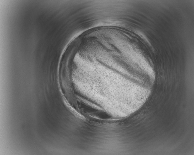 X0000067461080200604281822