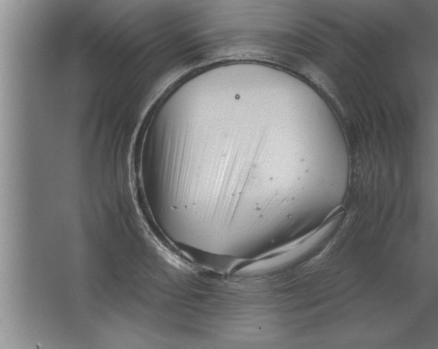 X0000067461082200604281822