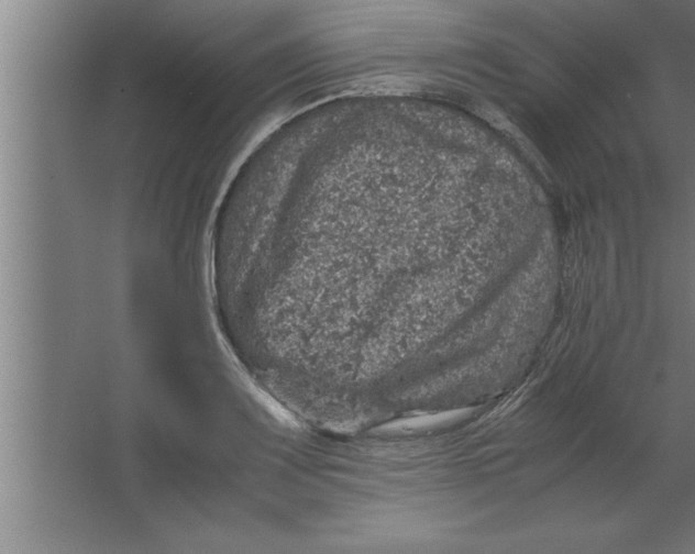 X0000067461083200604281822