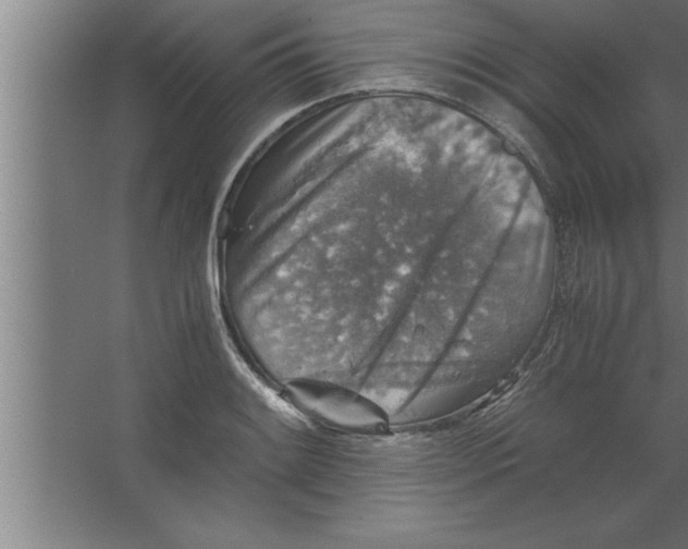 X0000067461084200604281822