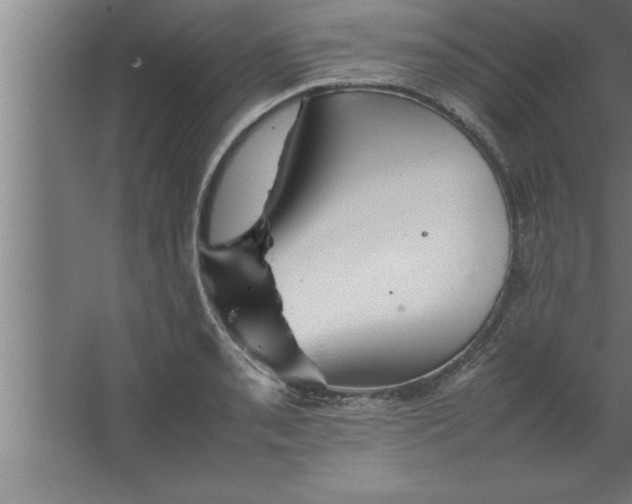 X0000067461085200604281822