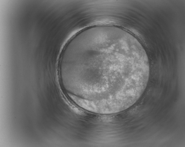 X0000067461086200604281822