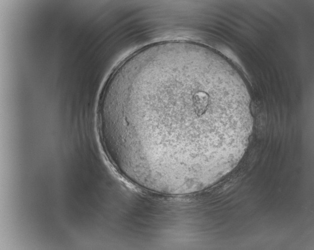 X0000067461088200604281822