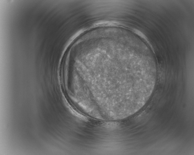 X0000067461090200604281822