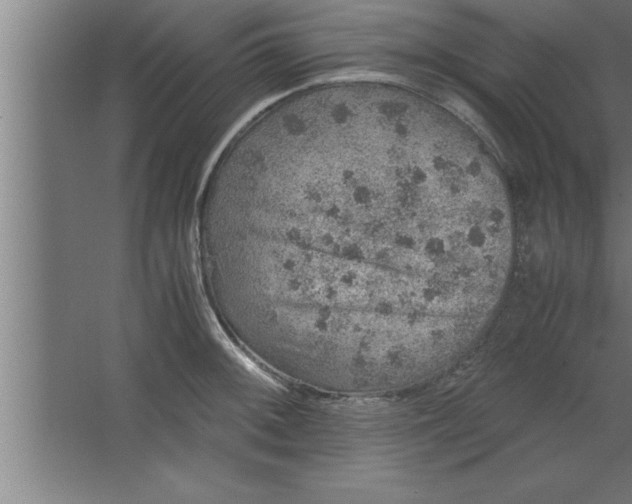 X0000067461092200604281822