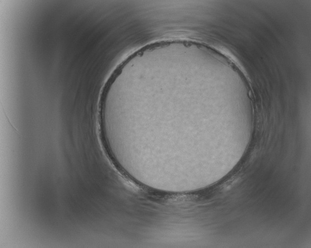 X0000067461093200604281822