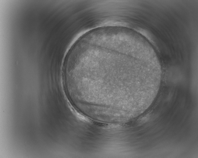 X0000067461094200604281822