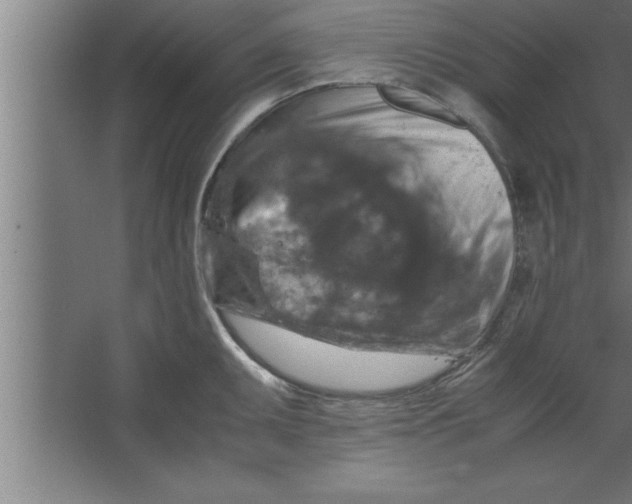 X0000067461095200604281822