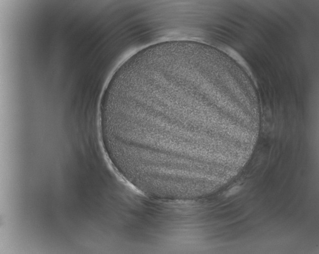 X0000067461096200604281822