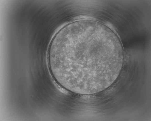 X0000067461098200604281822