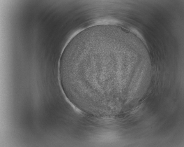 X0000067461103200604281821