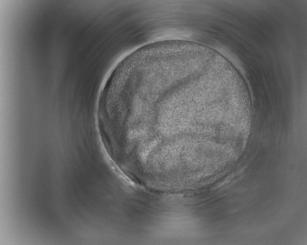 X0000067461104200604281821